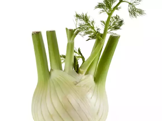Taming the Fire of Pain and Inflammation through the Food You Choose
