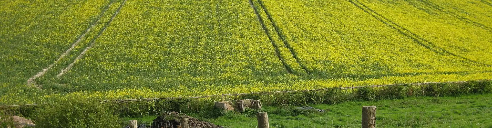 সহানুভূতির জন্য আরও ভাল সীমানা নির্ধারণ করা