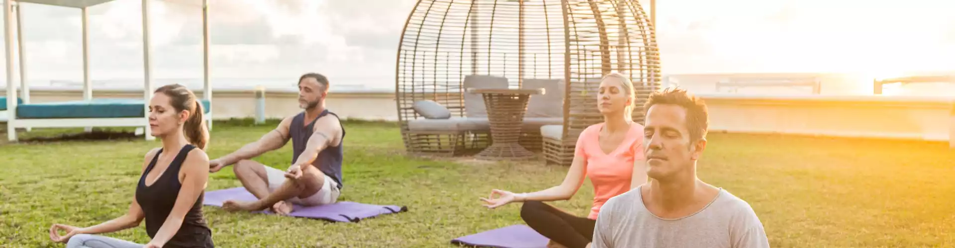 Qu'est-ce que le YOGA ? et pourquoi cela touche notre âme - Online Class by Wolf Purnananda 