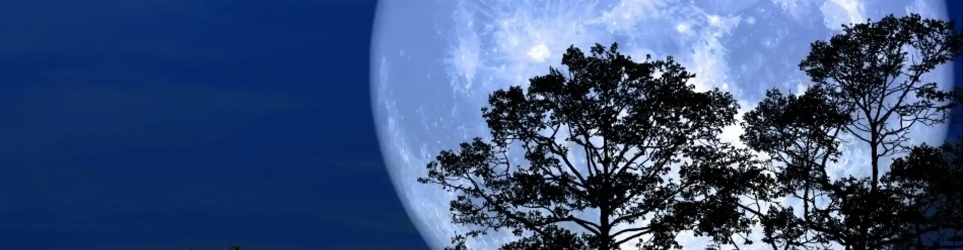 Full Moon Meditation  - Online Class by Cassaundra Paolini