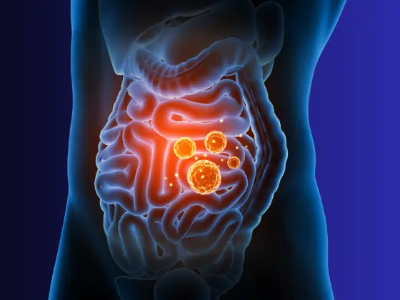 Heal Your Gut Lining 