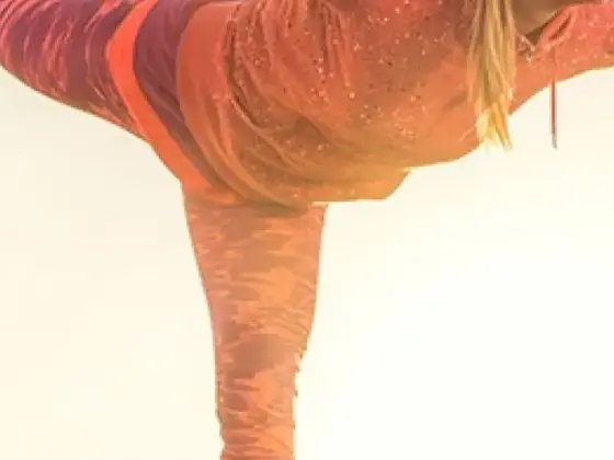 Vinyasa 流