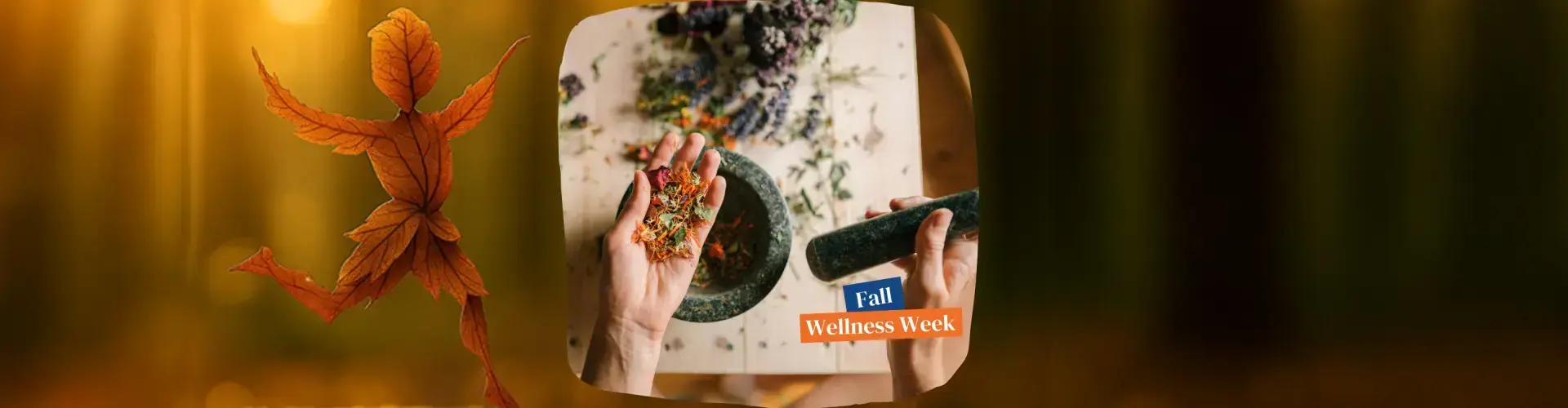 Herbal First Aid at Home - Online Class by Melanie Cardwell