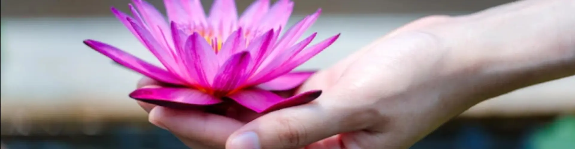 Reiki Level 1 Shoden - Online Class by Cassaundra Paolini
